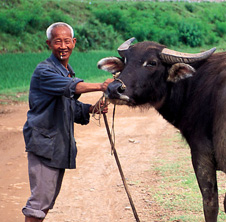 小型飼料顆粒機(jī),農(nóng)民圓夢(mèng)！